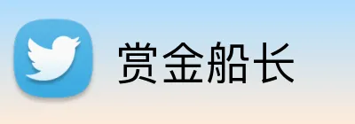 赏金船长 logo
